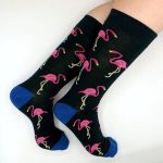 Flamencos Azules