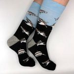 Shark black & blue