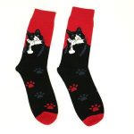 Gato Negro y rojo
